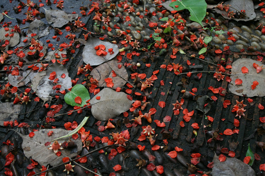 清華坊瀚園傳統中式裝修效果圖