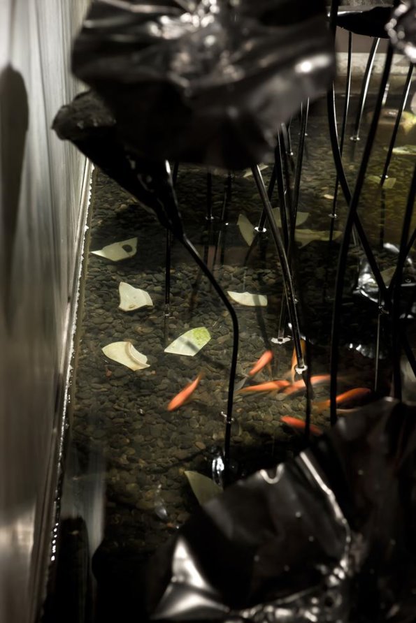 一片冰心在玉壺