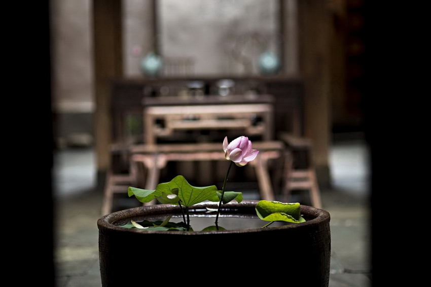 墅家墨娑在國(guó)內(nèi)的首次“亮相” 江西婺源西沖院