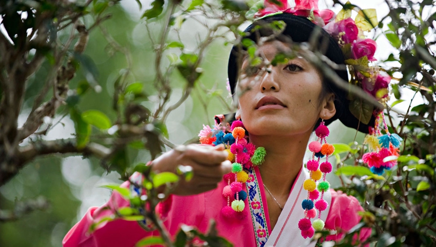 置身地域與時空交織的隧道 云南麗江麗世酒店
