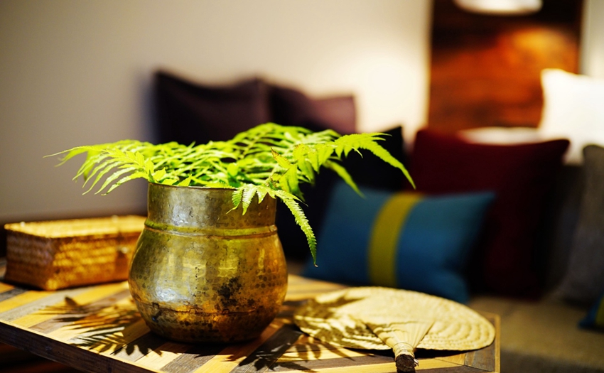 回歸簡單的自然理想 溫州悅庭楠舍精品酒店