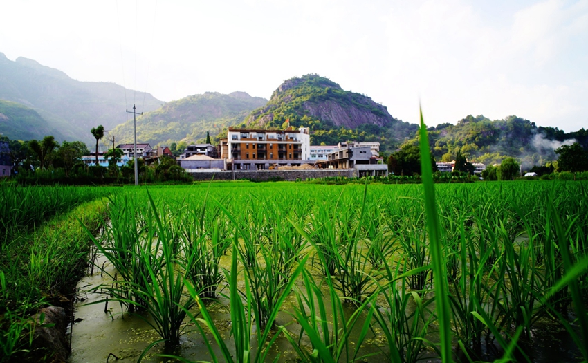 回歸簡單的自然理想 溫州悅庭楠舍精品酒店