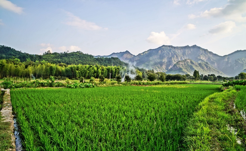 回歸簡單的自然理想 溫州悅庭楠舍精品酒店